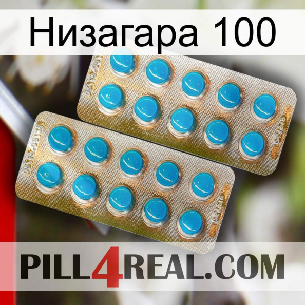 Низагара 100 new08.jpg